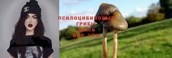 спиды Балахна