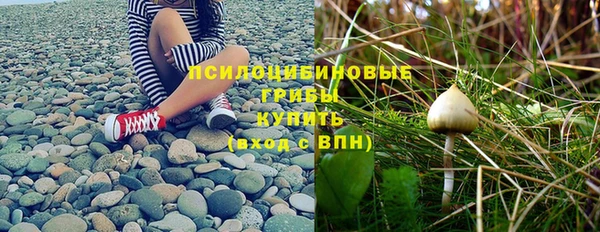 спиды Балахна