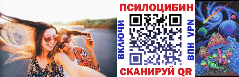 Псилоцибиновые грибы прущие грибы  Купить где  Новоузенск 